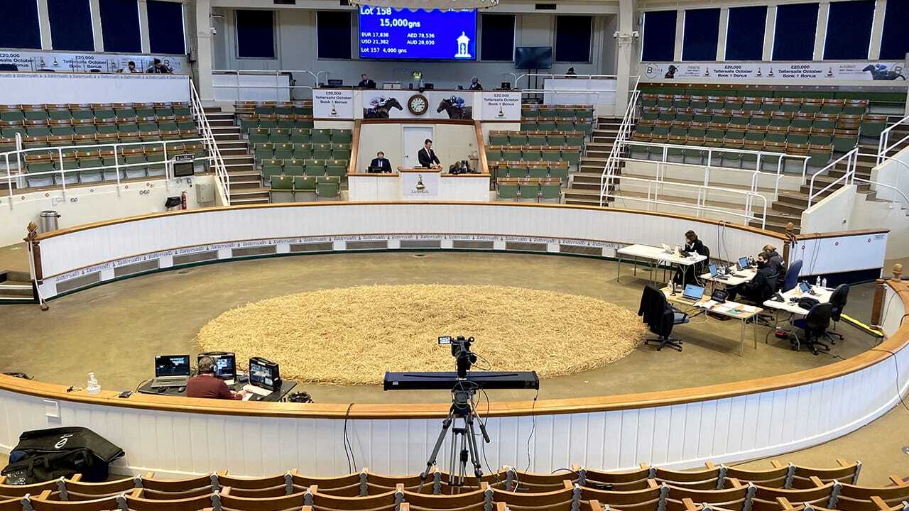 Virtual Horse Auction Virtual events Live event company Hybrid Event Production Company WaveFX